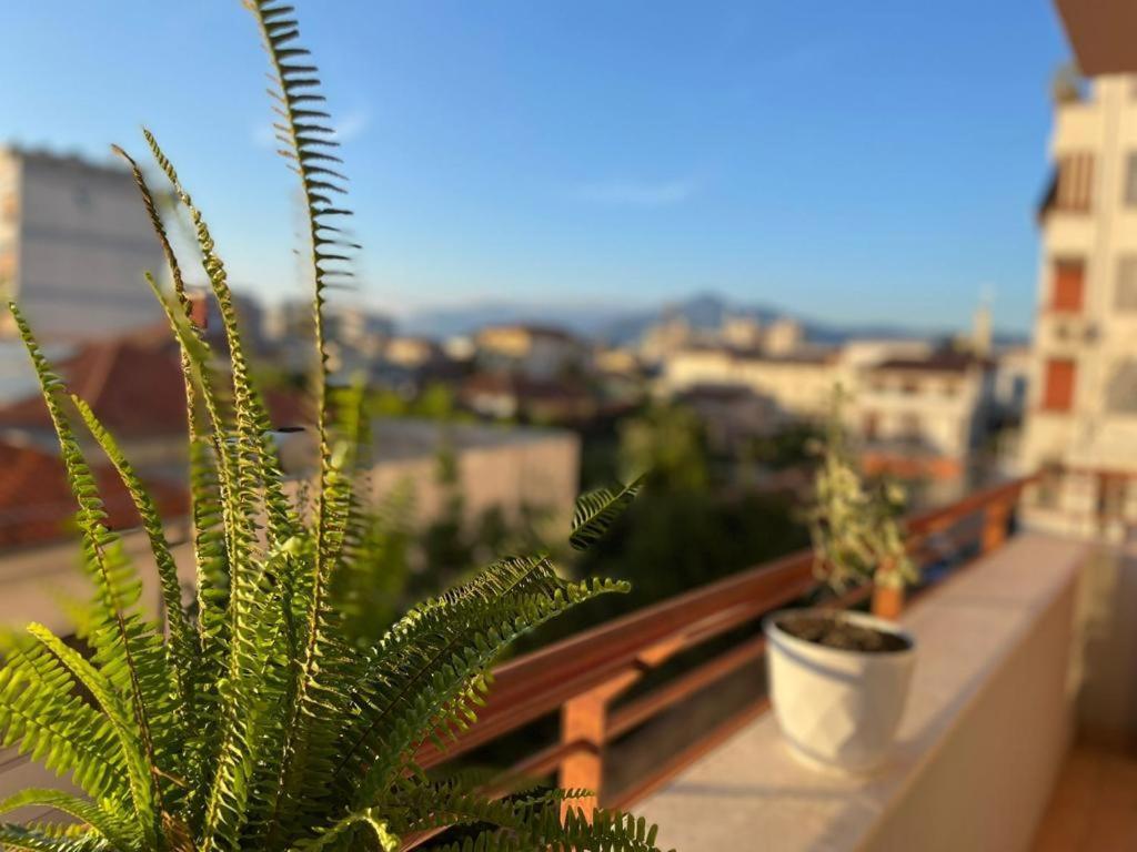 Premium Apartments Shkoder Bagian luar foto